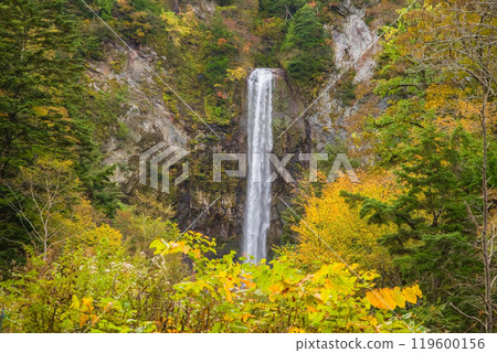 平湯大瀧的秋天(奧飛驒溫泉鄉/平湯溫泉) 平湯大瀧的秋天(奧飛驒溫泉鄉/平湯溫泉) 119600156