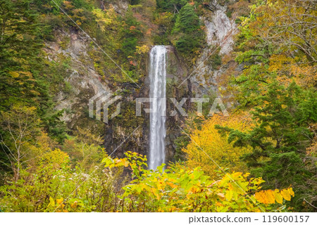 Autumn at Hirayu Falls (Hirayu Onsen, Okuhida Onsen Village) 119600157