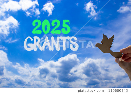 Planning 2025 grants new year symbol. Concept words 2025 Grants on beautiful blue sky. Beautiful blue sky clouds background. Hand with wooden bird. Business 2025 grants new year concept. Copy space. Planning 2025 grants new year symbol. Concept words 2025 Grants on beautiful blue sky. Beautiful blue sky clouds background. Hand with wooden bird. Business 2025 grants new year concept. Copy space. 119600543