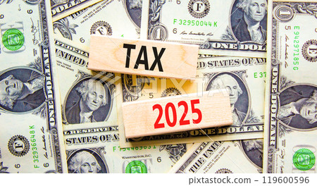 Planning tax 2025 new year symbol. Concept words Tax 2025 on beautiful wooden blocks. Dollar bills. Beautiful background from dollar bills. Business tax 2025 new year concept. Copy space. 119600596