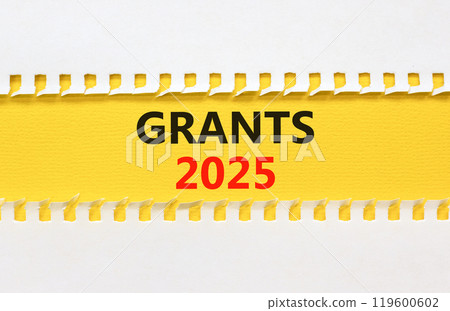 Planning grants 2025 new year symbol. Concept words Grants 2025 on beautiful yellow paper. Beautiful white background. Business grants 2025 new year concept. Copy space. Planning grants 2025 new year symbol. Concept words Grants 2025 on beautiful yellow paper. Beautiful white background. Business grants 2025 new year concept. Copy space. 119600602