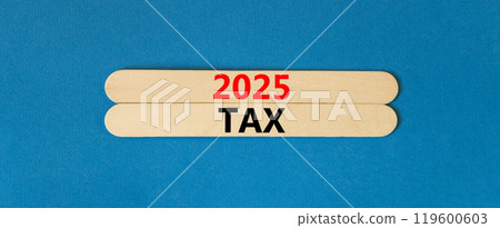 Planning 2025 tax new year symbol. Concept words 2025 Tax on beautiful wooden sticks. Beautiful blue background. Business 2025 tax new year concept. Copy space. Planning 2025 tax new year symbol. Concept words 2025 Tax on beautiful wooden sticks. Beautiful blue background. Business 2025 tax new year concept. Copy space. 119600603