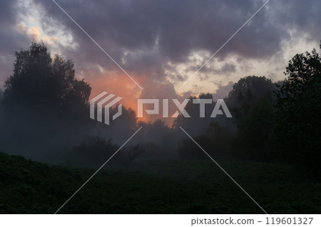 Misty twilight envelops the serene landscape as the sun sets behind trees in a tranquil forest setting 119601327