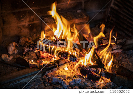 Burning firewood  119602062