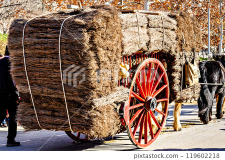 Horse parade at the festival of the three graves in Igualada, Barcelona. festivity of San Antonio 119602218
