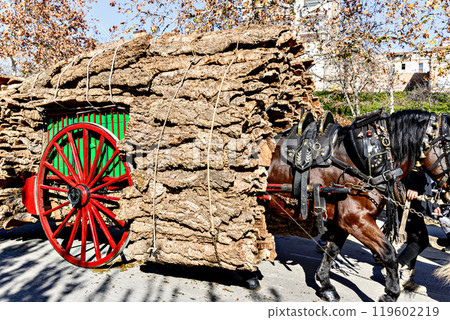 Horse parade at the festival of the three graves in Igualada, Barcelona. festivity of San Antonio 119602219
