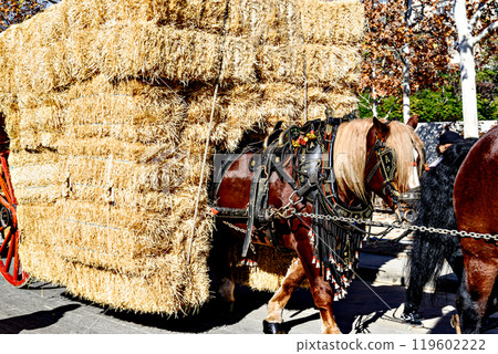 Horse parade at the festival of the three graves in Igualada, Barcelona. festivity of San Antonio 119602222