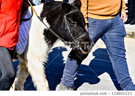 Horse parade at the festival of the three graves in Igualada, Barcelona. festivity of San Antonio 119602223