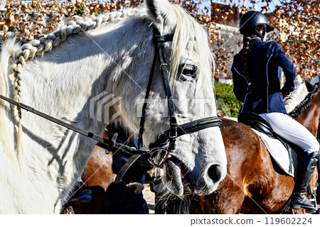 Horse parade at the festival of the three graves in Igualada, Barcelona. festivity of San Antonio Horse parade at the festival of the three graves in Igualada, Barcelona. festivity of San Antonio 119602224