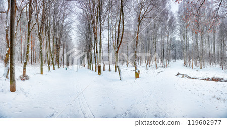 Amazing landscape with snow-covered trees in the city park. Amazing landscape with snow-covered trees in the city park. 119602977