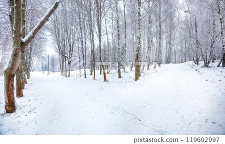 Amazing landscape with snow-covered trees in the city park. Amazing landscape with snow-covered trees in the city park. 119602997