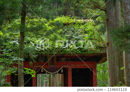 屋頂上長滿植物的瑞神門【戶隱神社】 119603128