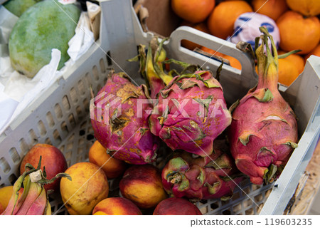 food fruit ripe cactus tropical fresh prickly raw sweet organic pear opuntia background 119603235