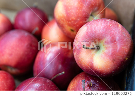 food green fresh apple organic market diet fruit produce raw agriculture healthy red food green fresh apple organic market diet fruit produce raw agriculture healthy red 119603275