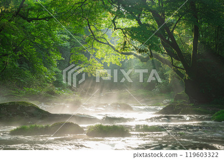 The rays of light in Kikuchi Valley and Hirokawara The rays of light in Kikuchi Valley and Hirokawara 119603322