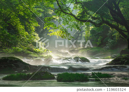 The rays of light in Kikuchi Valley and Hirokawara 119603324