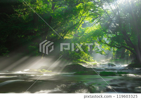 The rays of light in Kikuchi Valley and Hirokawara 119603325