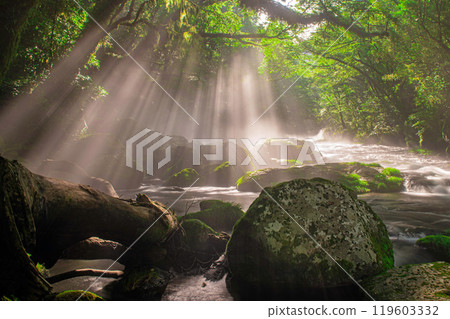 The rays of light in Kikuchi Valley and Hirokawara 119603332
