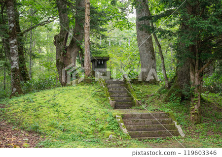 Small shrine on the approach to the inner shrine of Togakushi Shrine [Nagano City] 119603346