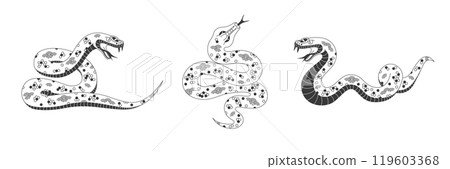 Isolated snake reptiles set Isolated snake reptiles set 119603368
