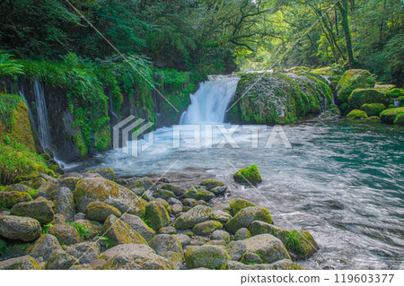 Dawn's waterfall of the Kikuchi Valley 119603377
