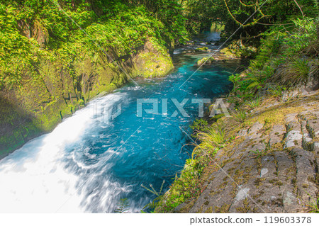美麗的鈷藍色菊池溪谷 119603378