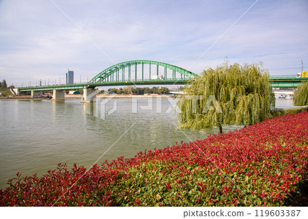 Old Sava Bridge, crossing the river Sava and used for car and tram traffic in Belgrade, capital of Serbia 119603387