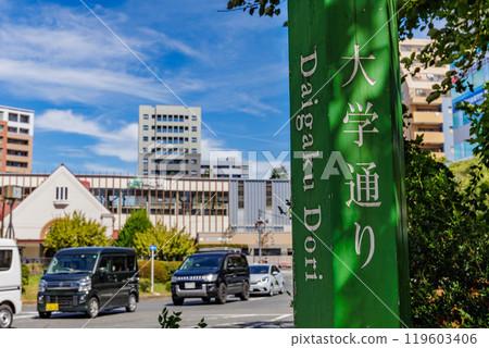 University Street stretching from the south exit of Kunitachi Station in Kunitachi City, Tokyo 119603406