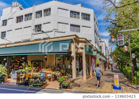 University Street stretching from the south exit of Kunitachi Station in Kunitachi City, Tokyo 119603423