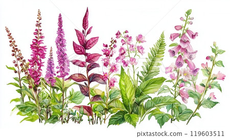 Detailed botanical watercolor illustration on light background 119603511