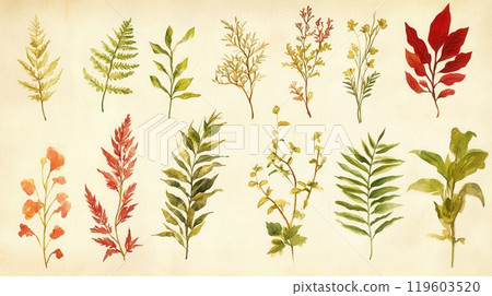 Detailed botanical watercolor illustration on light background 119603520