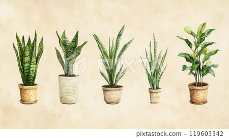 Detailed botanical watercolor illustration. Plants in the plant pots 119603542