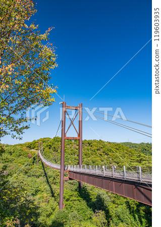 交野市的著名景點：星鞦韆、吊橋、大阪府立森林星田圓地 119603935