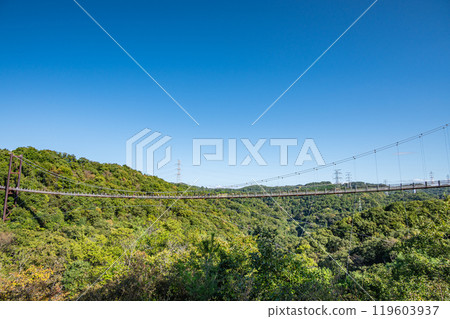 Katano City's famous Star Swing Suspension Bridge Osaka Prefectural Forest Hoshida Park 119603937