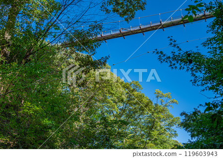 Katano City Forest: Osaka Prefectural Forest Hoshida Park, Star Swing Katano City Forest: Osaka Prefectural Forest Hoshida Park, Star Swing 119603943