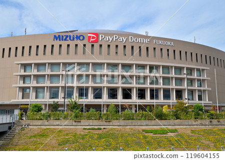 福岡瑞穗 Paypay Dome 福岡 119604155