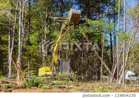 An excavator is used by contractor when preparing construction site, resulting in uprooting of trees An excavator is used by contractor when preparing construction site, resulting in uprooting of trees 119604230