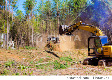 Trees are uprooted during preparation of construction site when an excavator is being used by contractor 119604234