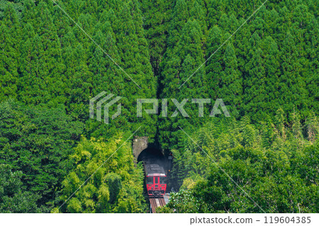 Kiha 185 series diesel railcar passing over the Naruko River Bridge Kiha 185 series diesel railcar passing over the Naruko River Bridge 119604385