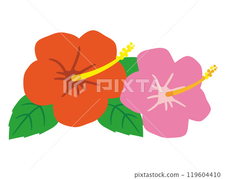 芙蓉圖 芙蓉圖 119604410