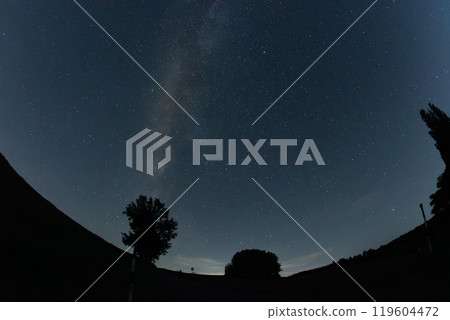 Silhouette of trees and starry sky galaxy 119604472
