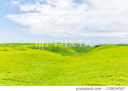 Summer in Hokkaido: Grassland near Cape Erimo Summer in Hokkaido: Grassland near Cape Erimo 119604567