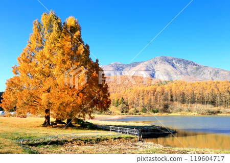 Lake Reisenji and the Hokushin Five Mountains in Autumn 119604717