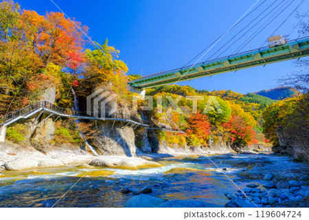 Suwakyo Bridge dyed in autumn leaves Suwakyo Bridge dyed in autumn leaves 119604724