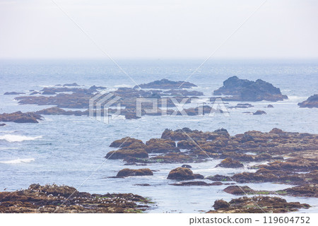 Summer in Hokkaido: Cape Erimo 119604752
