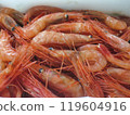 Fresh sweet shrimp 119604916
