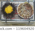 Charbroiled sea urchin and scallops 119604920