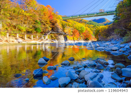 Suwa Gorge dyed in autumn leaves Suwa Gorge dyed in autumn leaves 119604943