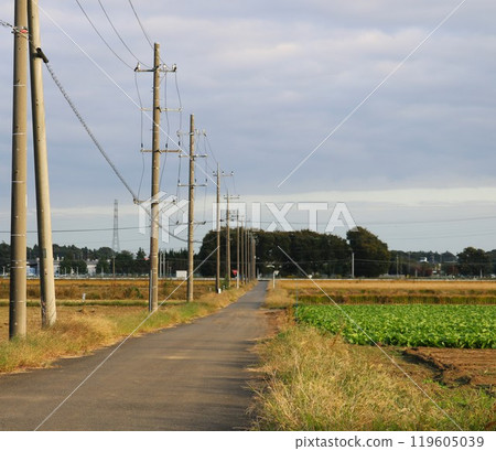 景觀與道路、寧靜的秋季鄉村、電話桿 景觀與道路、寧靜的秋季鄉村、電話桿 119605039