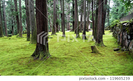 Heizenji Temple Hakusan Shrine Heizenji Temple Hakusan Shrine 119605239